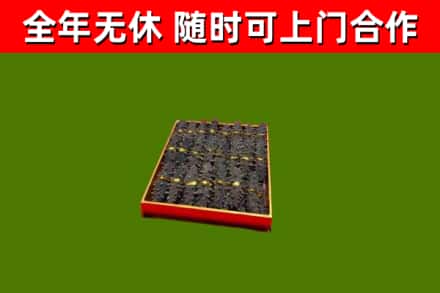 久治县回收海参